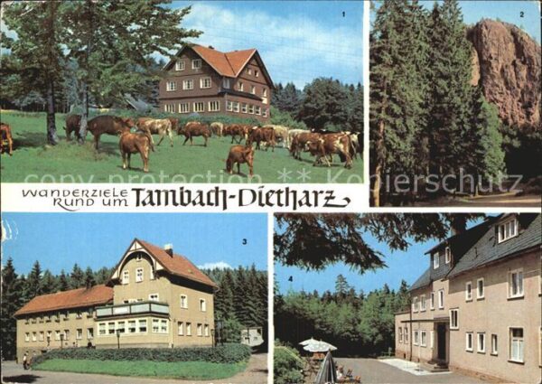 Tambach-Dietharz Falkenstein Rodebachmühle Waldbaude Ber