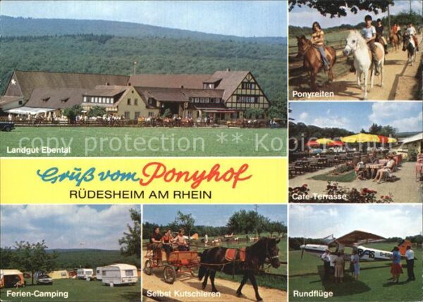 Ruedesheim Rhein Ferien und Freizeitanlage Landgut Ebent