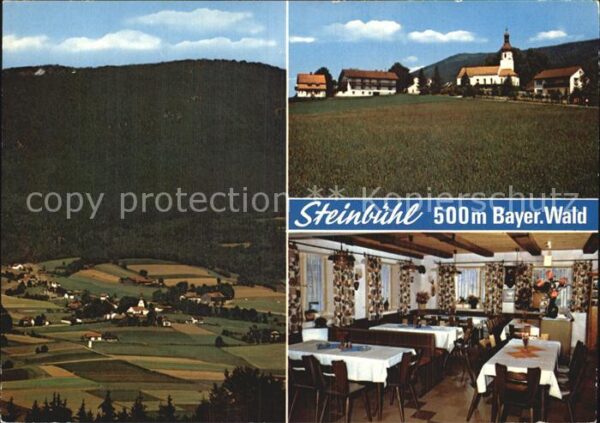 Steinbuehl Bad Koetzting Panorama Bayerischer Wald Gasthof Pensi