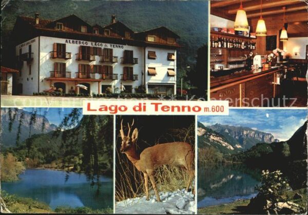 Tenno Albergo Lago di Tenno Bergsee Alpen Reh