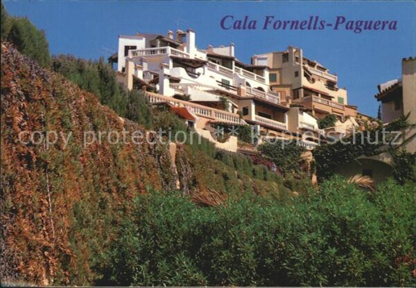 Paguera Mallorca Islas Baleares Cala Fornells Hotel