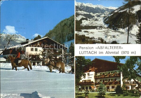 Luttach Ahrntal Suedtirol Pension Abfalterer Reiten Pferdeschlitt