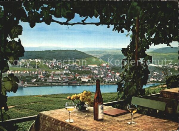 Ruedesheim Rhein Panorama Blick auf Bingen Weinreben Wei