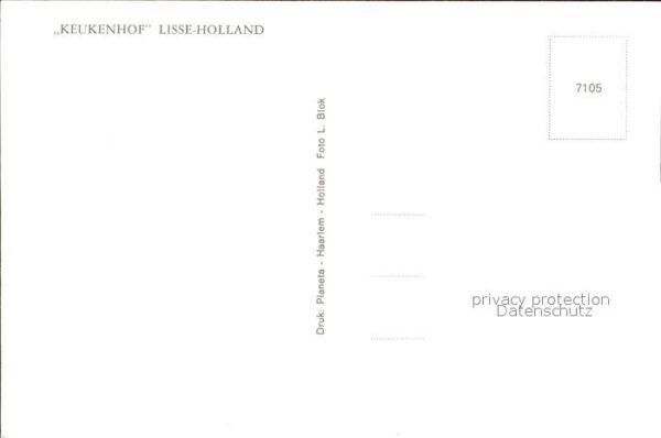 Lisse Keukenhof Windmühle – Bild 2