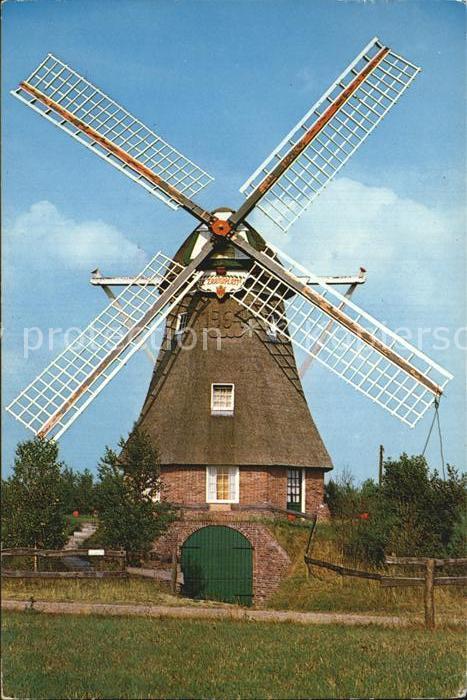 Ruinen Winkorenmolen Zaandplatte