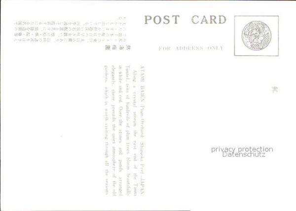 Atami Baien – Bild 2