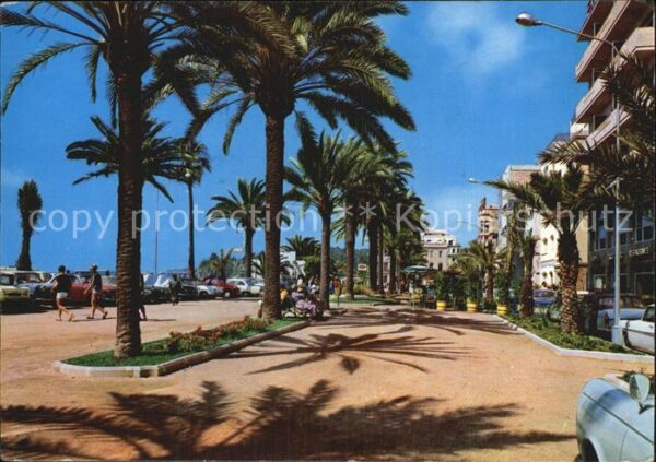 Lloret de Mar Detalle del paseo Strandpromenade Palme