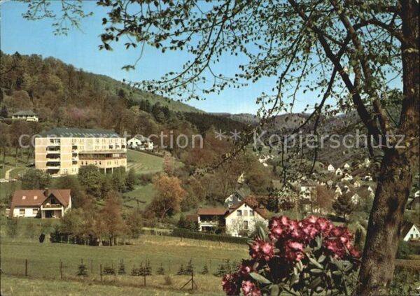 Laasphe Kneipp Heilbad Luftkurort Wittgensteine