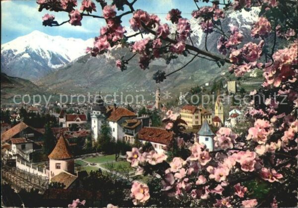 Meran Merano Primavera Frühling Baumblüte Texelgrupp