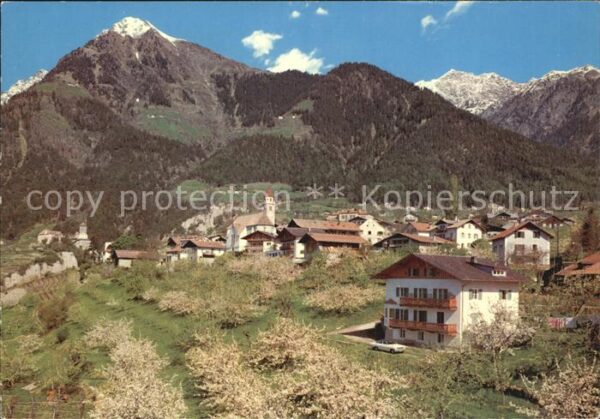 Dorf Tirol Gesamtansicht mit Alpen