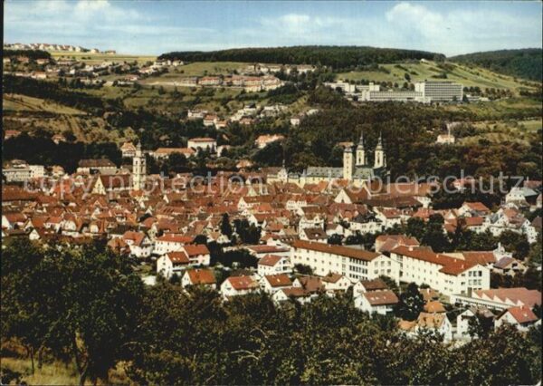 Bad Mergentheim Blick über die Stadt