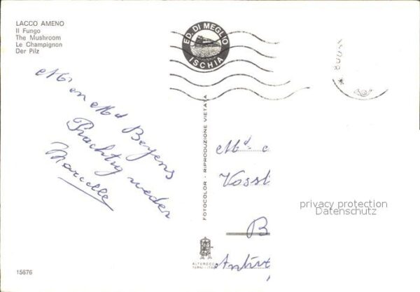 Lacco Ameno Der Pilz – Bild 2