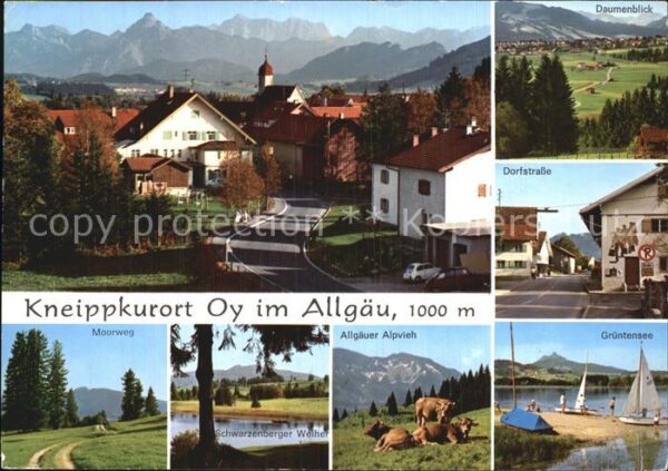 Oy Gesamtansicht Moorweg Alpvieh Grüntense