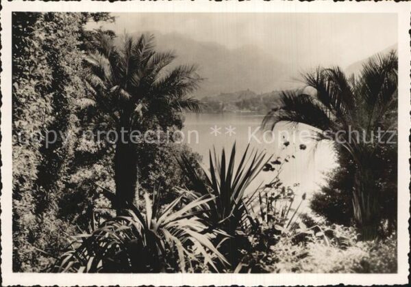 Cadenabbia Lago di Como Villa Carlotta