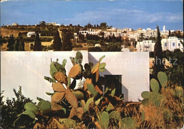 Sidi Bou Said