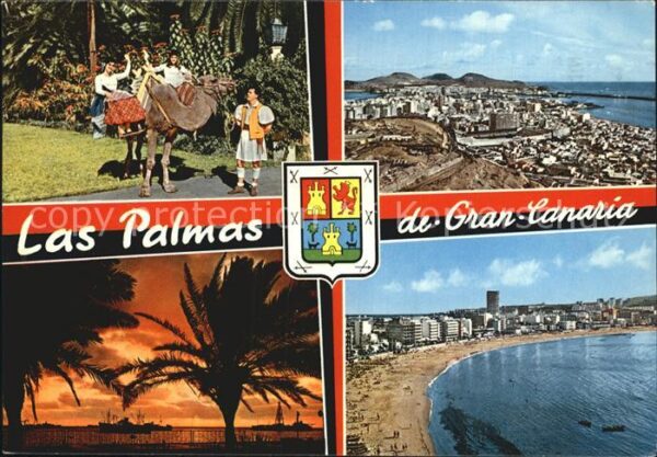 Las Palmas Gran Canaria Kamel Fliegeraufnahme Strand