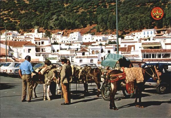 Mijas Esel Teilansicht