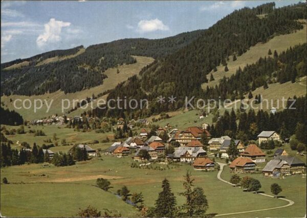 Menzenschwand