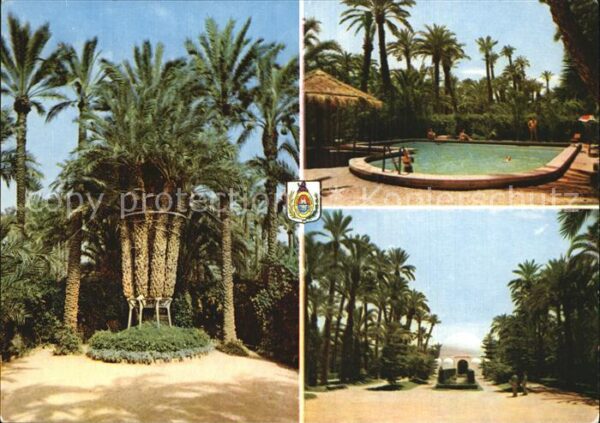 Elche Schwimmbad