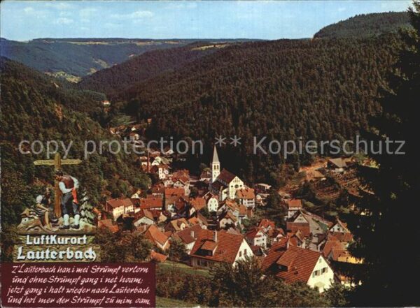 Lauterbach Schwarzwald Blick von der Steinbank