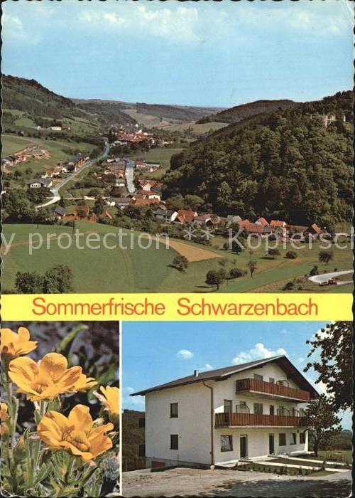 Schwarzenbach Pielach Haus Bucheneck