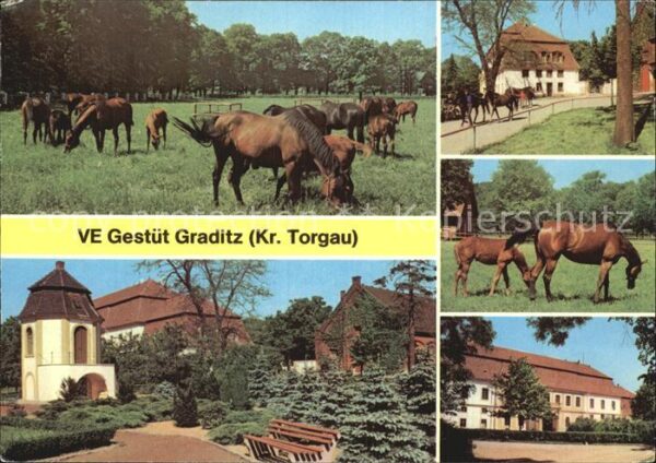 Graditz VE Gestüt