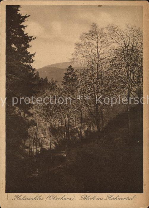 Hahnenklee-Bockswiese Harz Hühnertal
