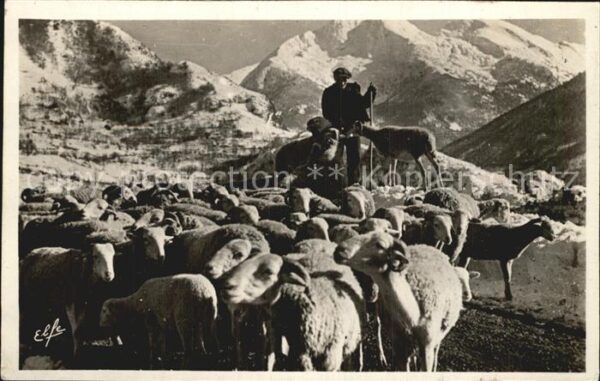 Schafe Hirte Pyrenees Troupeau dans la Montagn