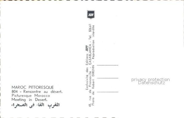 Kamel  Camel Chameau Maroc Desert Typen – Bild 2