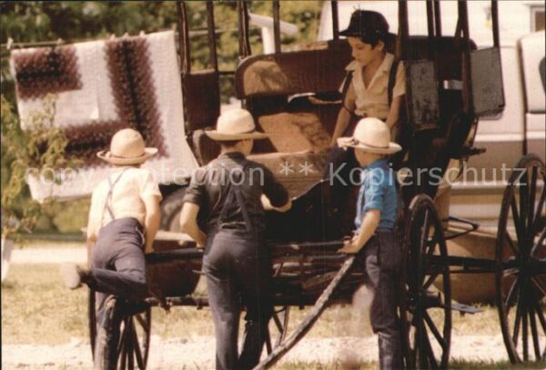 Typen Amish Boys Old Buggy