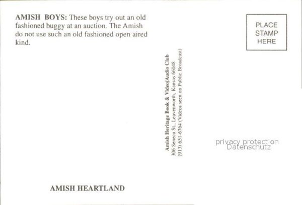 Typen Amish Boys Old Buggy – Bild 2
