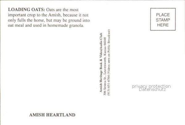 Landwirtschaft Amish Loading Oats – Bild 2