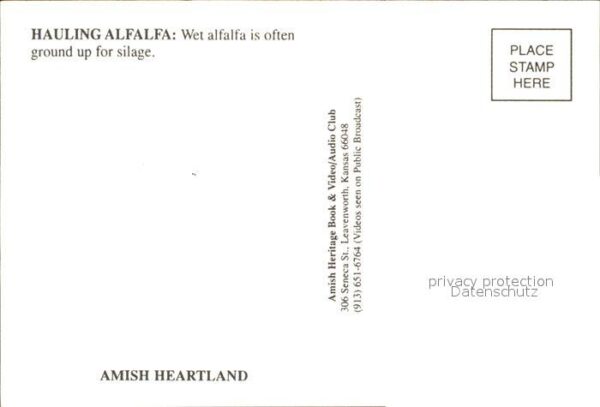 Landwirtschaft Amish Hauling Alfalfa – Bild 2
