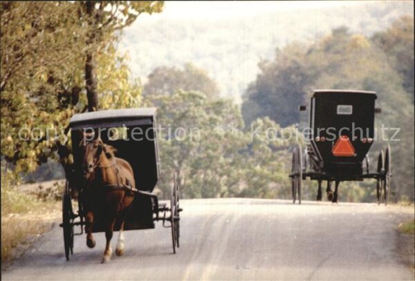 Pferdekutschen Amish Buggies in Autumn