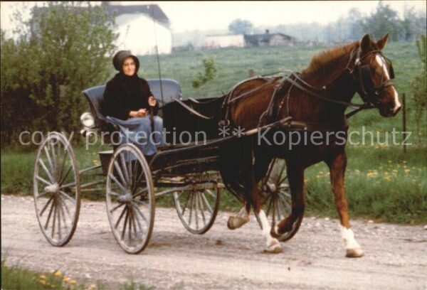 Pferdekutschen Amish Lady
