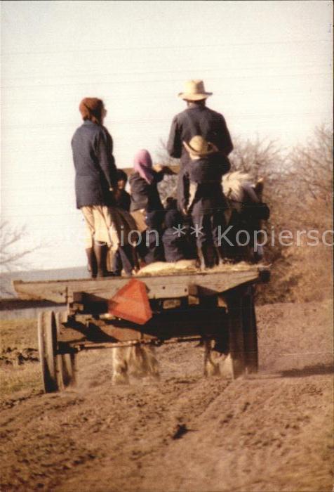 Landwirtschaft Amish Field Wagon