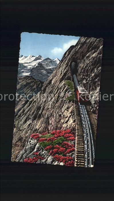 Zahnradbahn Pilatusbahn Eselwand Berneralpen