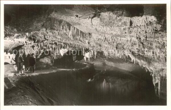 Hoehlen Caves Grottes Han-sur-Lesse Salle des Draperies