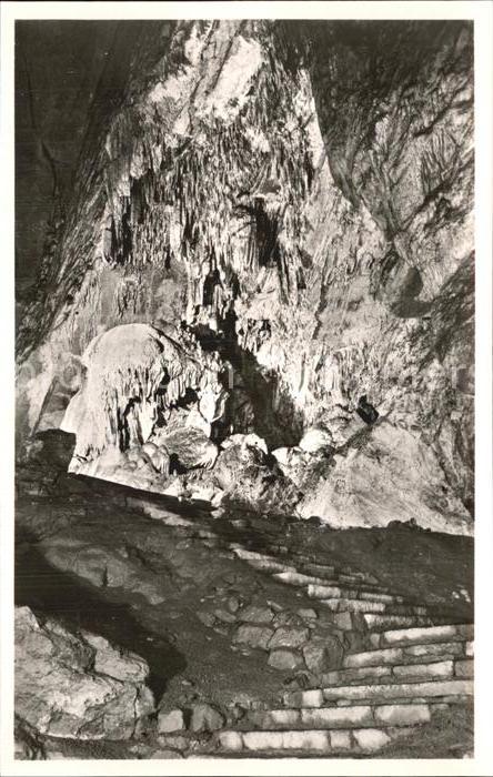 Hoehlen Caves Grottes Han-sur-Lesse Salle du Trophee
