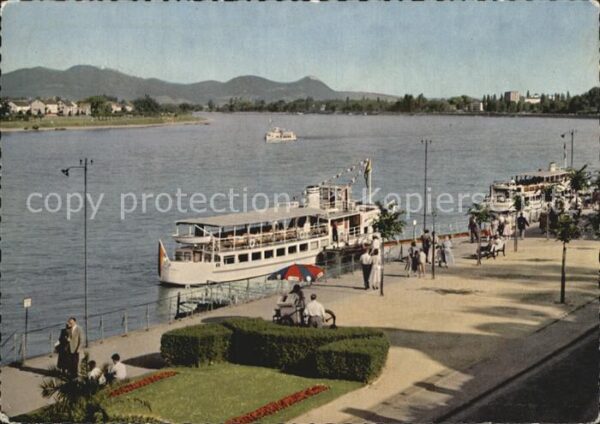 Motorschiffe Bonn Rheinpromenade Siebengebirge
