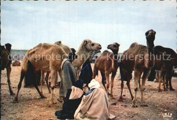 Scenes et Types Nr. 95.003.23 Hommes bleus au souk aux Cham