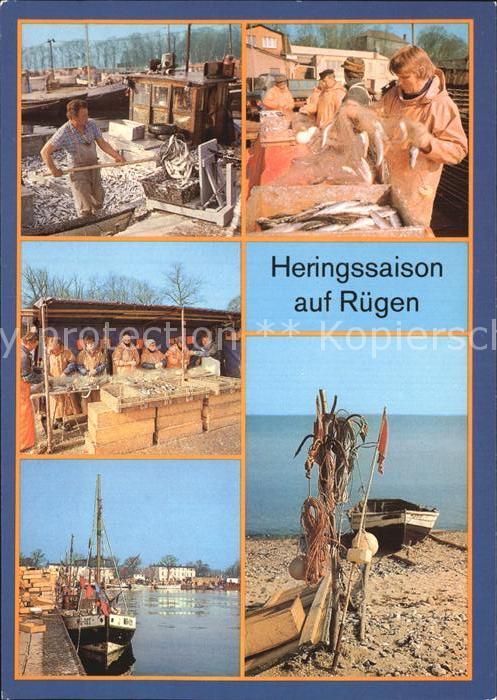 Fischerei Heringssaison Rügen