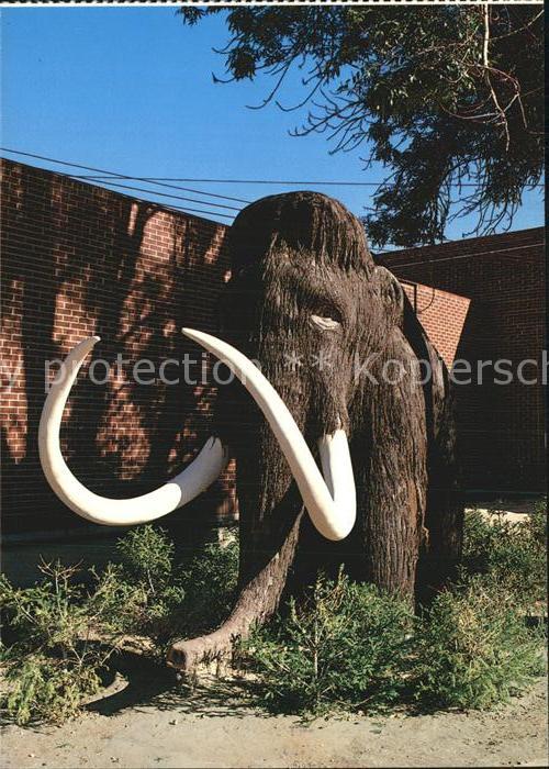 Elefant Woolley Mammoth Dinosaur Gardens Vernal