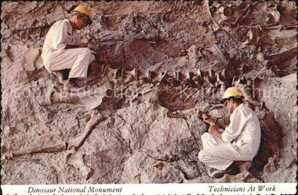 Dinosaurier Dinosaur National Monument Technicians