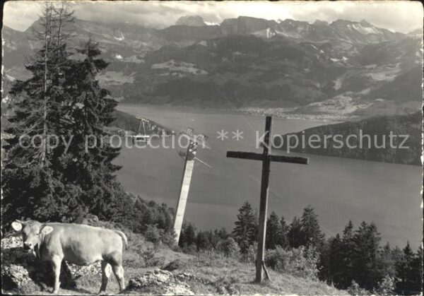 Seilbahn Weggis-Rigi-Kaltbad Kuh