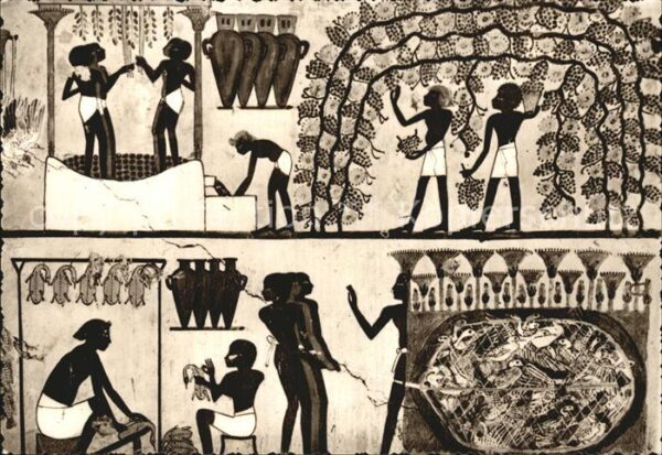 Thebes Aegypten Tomb of Nakht Winepressing Scene