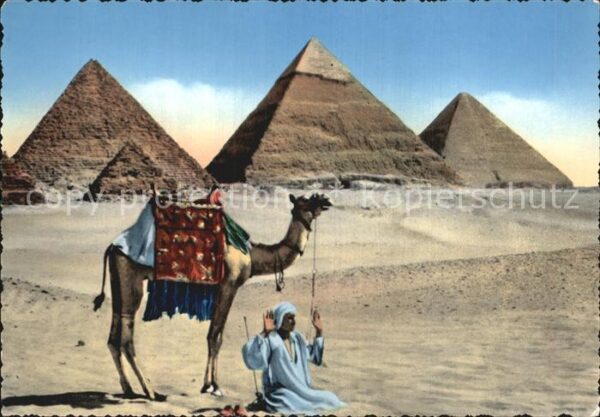 Kamel  Camel Chameau Prayer Pyramids of Giza