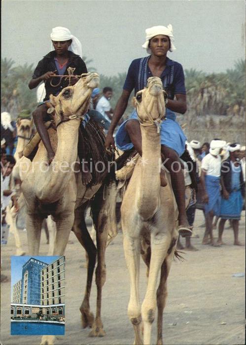 Kamel  Camel Chameau Camel racing in Aljah