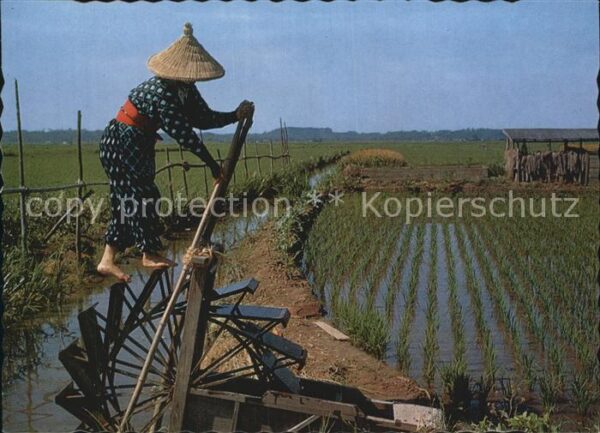 Landwirtschaft Rice Planting Suigo District Itako