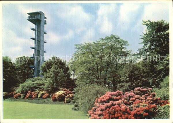 Gartenschau Planten un Blomen Hamburg Rhododendron